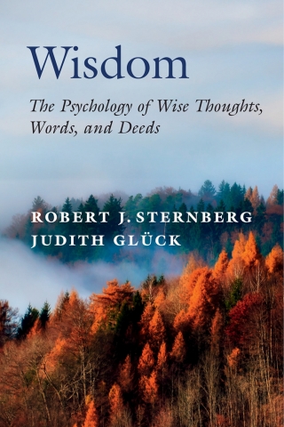 Cover image: Wisdom 9781108841559