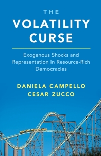 Cover image: The Volatility Curse 9781108841795