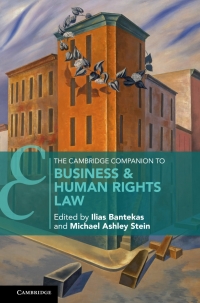 Cover image: The Cambridge Companion to Business and Human Rights Law 9781108830379