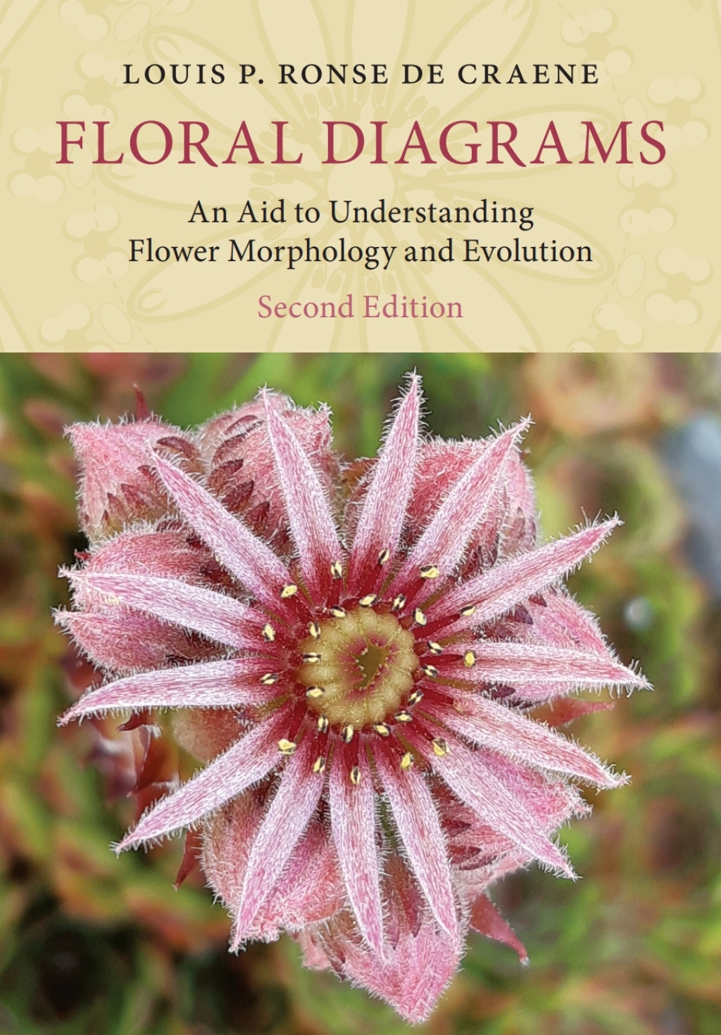 Floral Diagrams An Aid to Understanding Flower Morphology and Evolution 2nd Edition