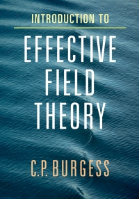 Cover image: Introduction to Effective Field Theory 9780521195478