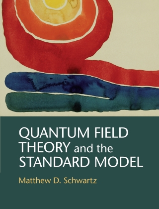 Imagen de portada: Quantum Field Theory and the Standard Model 9781107034730