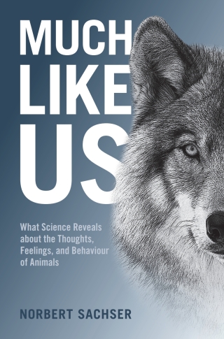 Cover image: Much Like Us 9781108838498