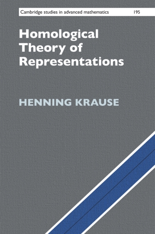 Imagen de portada: Homological Theory of Representations 9781108838894