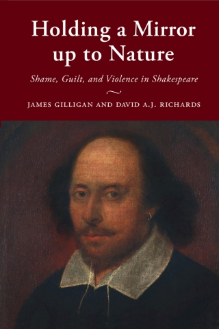 Imagen de portada: Holding a Mirror up to Nature 9781108833394