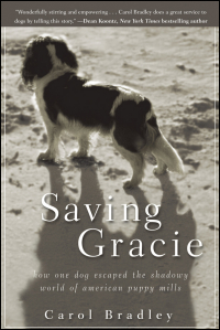 Titelbild: Saving Gracie 1st edition 9781118012277