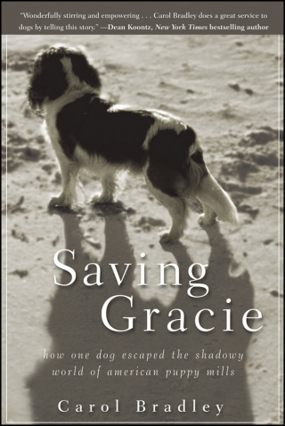 Cover image: Saving Gracie 1st edition 9781118012277