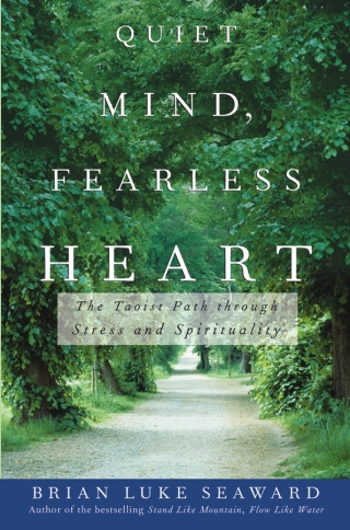 Imagen de portada: Quiet Mind, Fearless Heart 1st edition 9780471679998