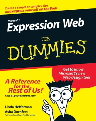 Imagen de portada: Microsoft Expression Web For Dummies 1st edition 9780470115091