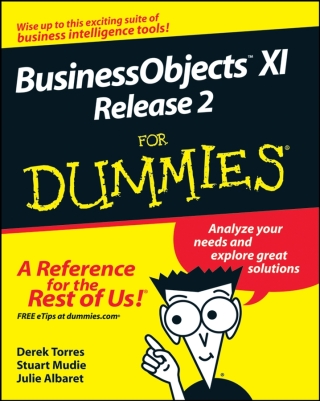Cover image: BusinessObjects XI Release 2 For Dummies 1st edition 9780470181126