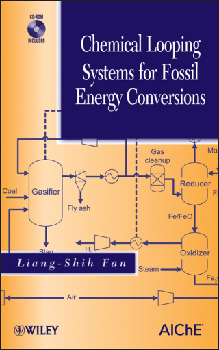 Imagen de portada: Chemical Looping Systems for Fossil Energy Conversions 1st edition 9780470872529