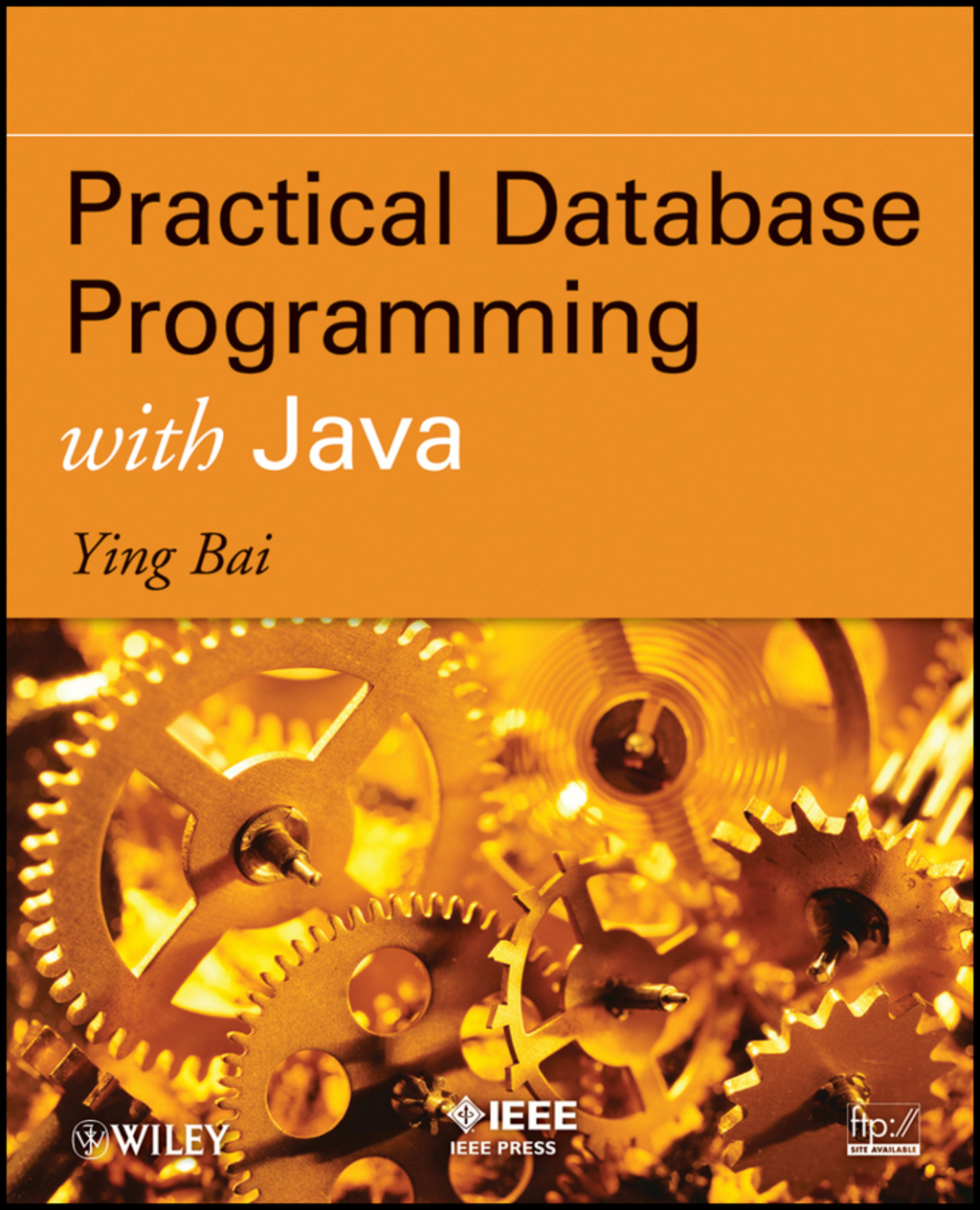 Practical Database Programming with Java - 1st Edition (eBook)