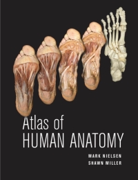 Cover image: Atlas of Human Anatomy 1st edition 9780470501450