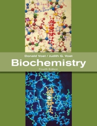 表紙画像: Biochemistry 4th edition 9780470570951