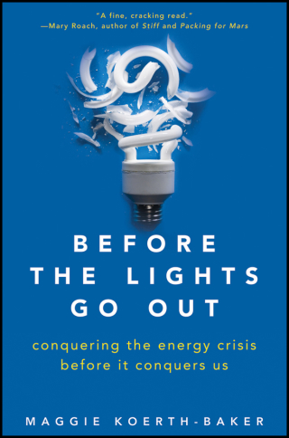 Cover image: Before the Lights Go Out 1st edition 9780470876251