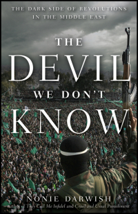 Titelbild: The Devil We Don't Know 1st edition 9781118133392