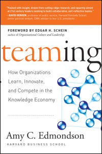 Imagen de portada: Teaming: How Organizations Learn, Innovate, and Compete in the Knowledge Economy 1st edition 9780787970932