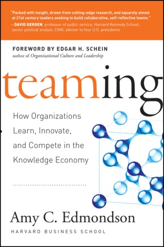Cover image: Teaming: How Organizations Learn, Innovate, and Compete in the Knowledge Economy 1st edition 9780787970932