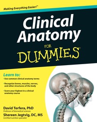 Cover image: Clinical Anatomy For Dummies 1st edition 9781118116432