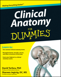 Cover image: Clinical Anatomy For Dummies 1st edition 9781118116432