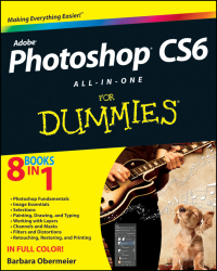 Cover image: Photoshop CS6 All-in-One For Dummies 1st edition 9781118174562