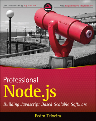 صورة الغلاف: Professional Node.js 1st edition 9781118185469