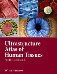 صورة الغلاف: Ultrastructure Atlas of Human Tissues 1st edition 9781118284537