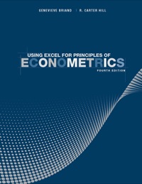Cover image: Using Excel for Principles of Econometrics 4th edition 9781118032107