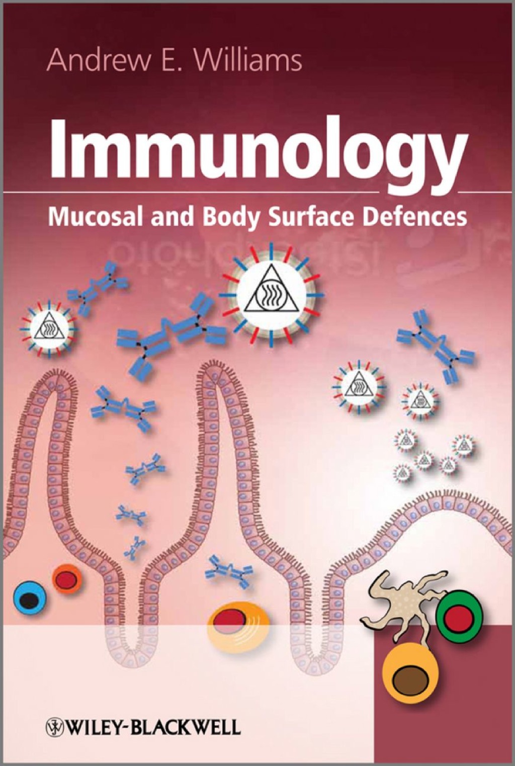 Immunology: Mucosal and Body Surface Defenses 1st Edition