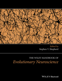 Imagen de portada: The Wiley Handbook of Evolutionary Neuroscience 1st edition 9781119264781