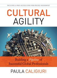 Cover image: Cultural Agility: Building a Pipeline of Successful Global Professionals 1st edition 9781118275078