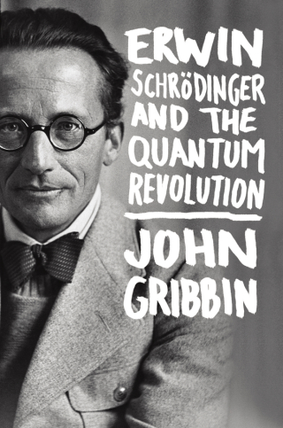 Cover image: Erwin Schrodinger and the Quantum Revolution 1st edition 9781118299265