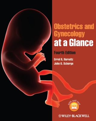 Cover image: Obstetrics and Gynecology at a Glance 4th edition 9781118341735
