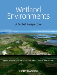Cover image: Wetland Environments 1st edition 9781405198424