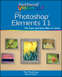 Cover image: Teach Yourself VISUALLY Photoshop Elements 11 1st edition 9781118362389