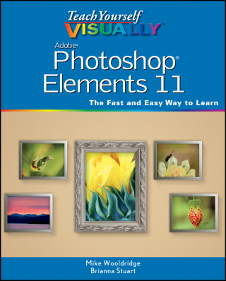 Imagen de portada: Teach Yourself VISUALLY Photoshop Elements 11 1st edition 9781118362389