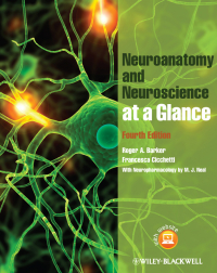 Cover image: Neuroanatomy and Neuroscience at a Glance 4th edition 9780470657683