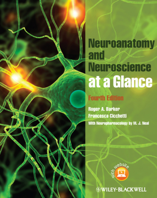 Imagen de portada: Neuroanatomy and Neuroscience at a Glance 4th edition 9780470657683
