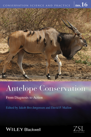 Cover image: Antelope Conservation: From Diagnosis to Action 1st edition 9781118409633