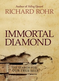 Cover image: Immortal Diamond: The Search for Our True Self 1st edition 9781118303597