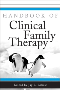 Imagen de portada: Handbook of Clinical Family Therapy 1st edition 9780471431343