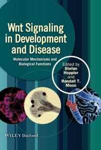 Imagen de portada: Wnt Signaling in Development and Disease: Molecular Mechanisms and Biological Functions 1st edition 9781118444160
