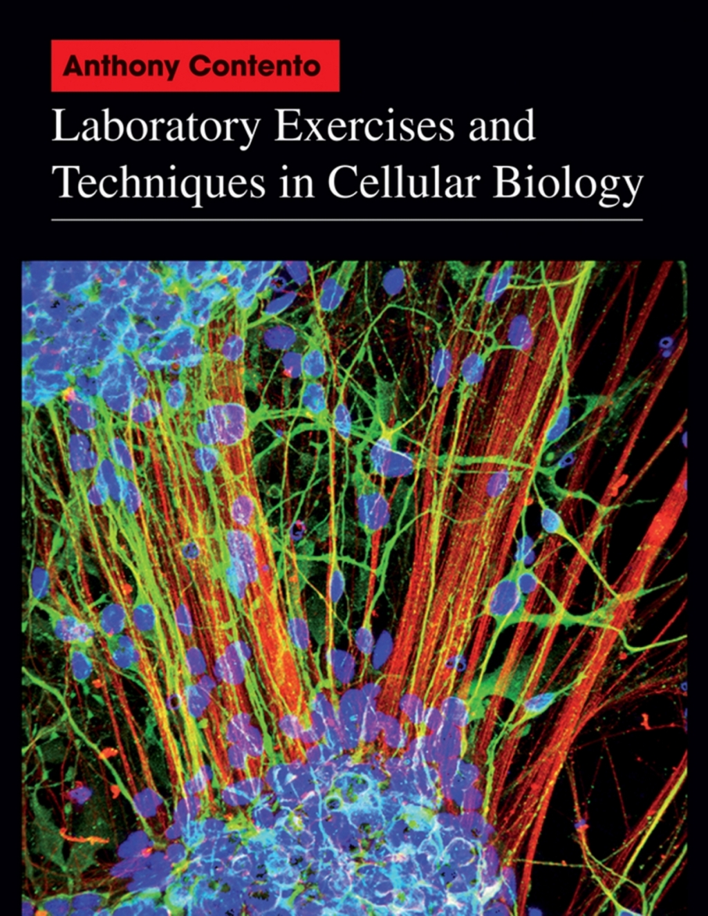 Laboratory Exercises and Techniques in Cellular Biology 1st Edition