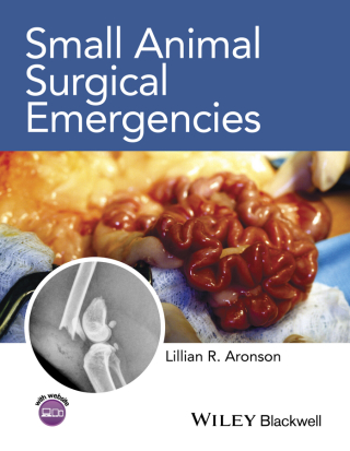 Cover image: Small Animal Surgical Emergencies 1st edition 9781118413487