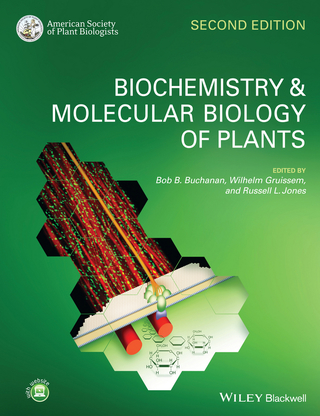 Imagen de portada: Biochemistry and Molecular Biology of Plants 2nd edition 9780470714218