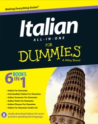 Cover image: Italian All-in-One For Dummies 1st edition 9781118510605
