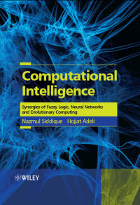 Cover image: Computational Intelligence: Synergies of Fuzzy Logic, Neural Networks and Evolutionary Computing 1st edition 9781118337844