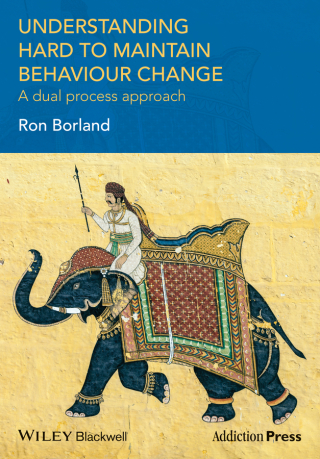 Cover image: Understanding Hard to Maintain Behaviour Change 1st edition 9781118572931