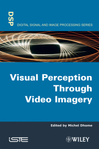 صورة الغلاف: Visual Perception Through Video Imagery 1st edition 9781848210165