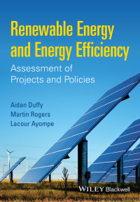 Imagen de portada: Renewable Energy and Energy Efficiency: Assessment of Projects and Policies 1st edition 9781118631041
